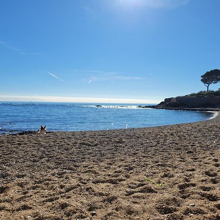 Appartement La Tranquillite, 2Mn A Pieds Mer Fréjus Exterior foto
